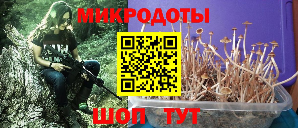 Галлюциногенные грибы прущие грибы  Галлюциногенные грибы MAGIC MUSHROOMS  Вход с VPN  Дзержинский 